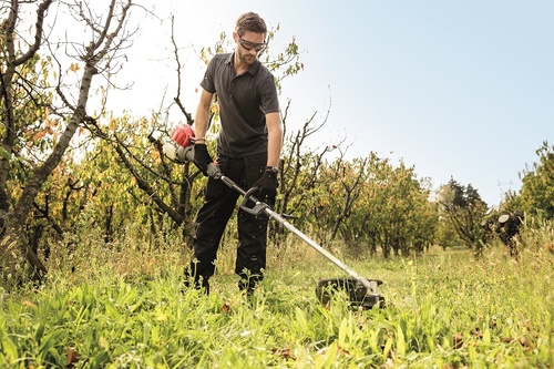 Pielęgnacja trawnika w sierpniu - co oprócz aeracji jest do zrobienia